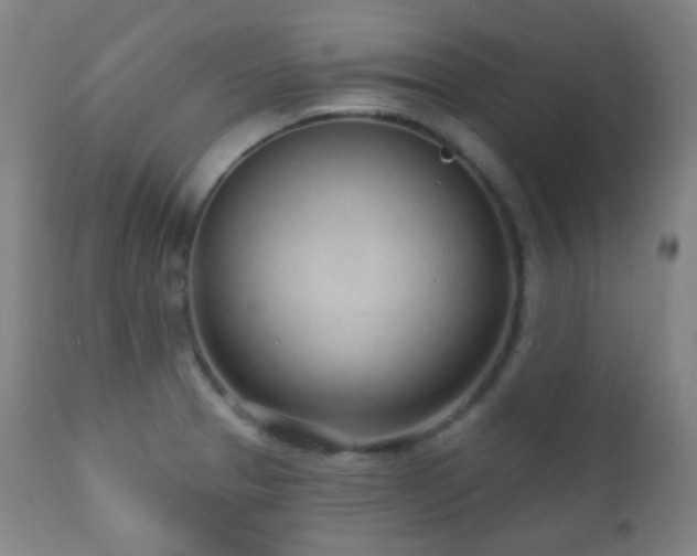 X0000110981329200906191355