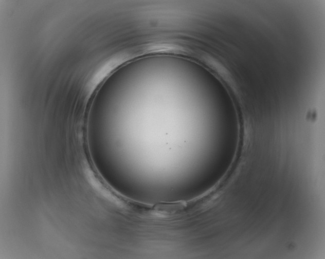 X0000110981330200906191355