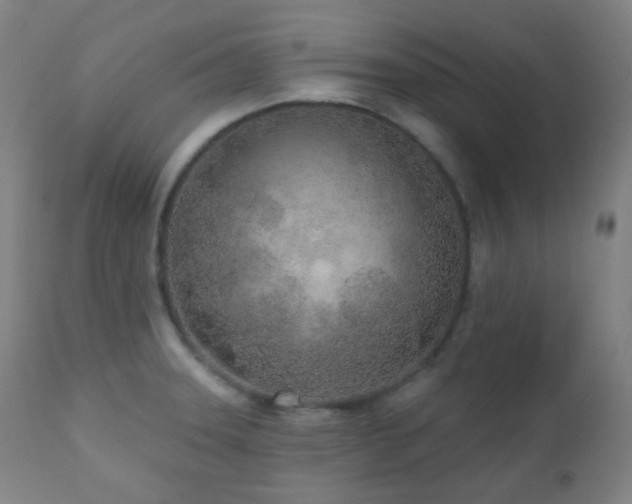 X0000110981331200906191355