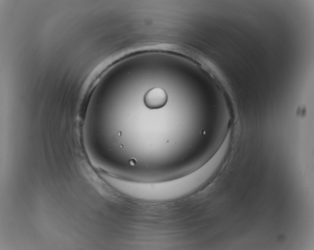 X0000110981332200906191355