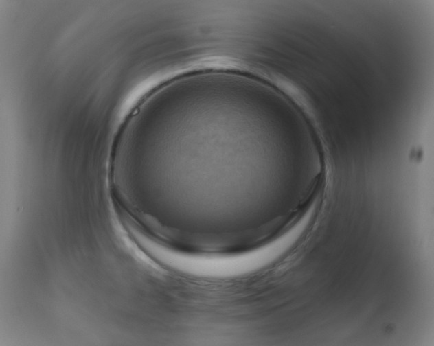 X0000110981334200906191355