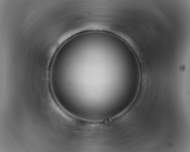 X0000110981335200906191355