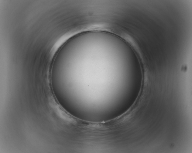 X0000110981336200906191355