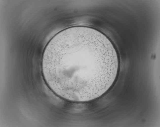 X0000110981338200906191355