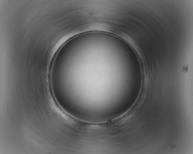 X0000110981339200906191355