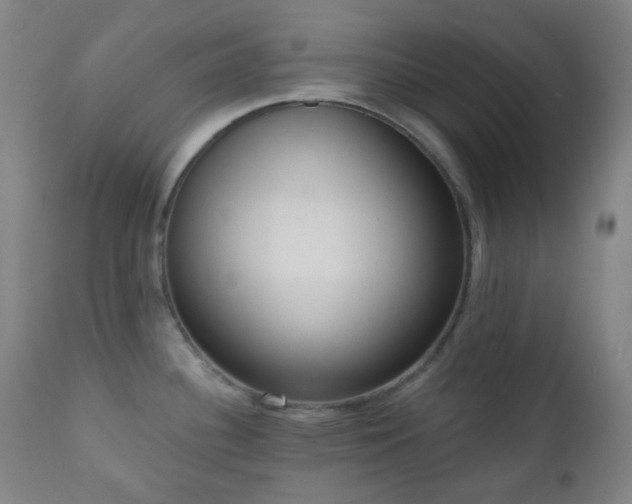 X0000110981340200906191355