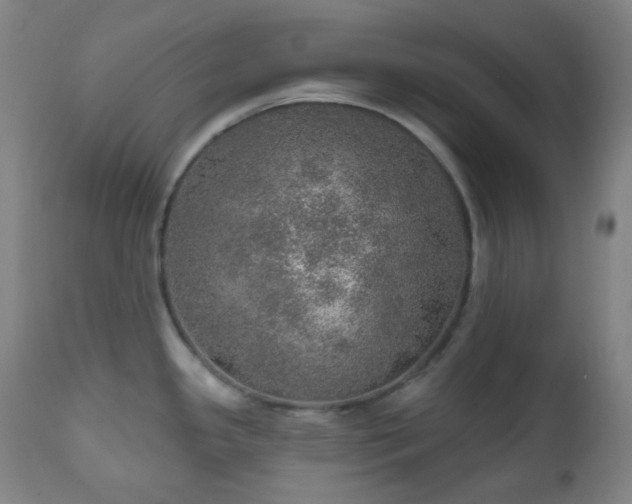 X0000110981341200906191355