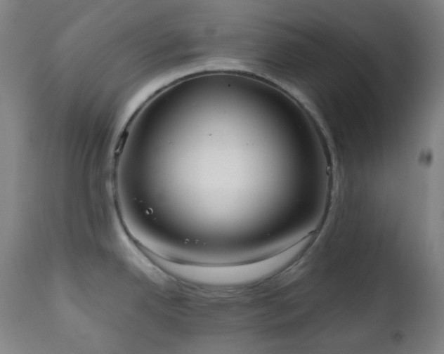 X0000110981342200906191355