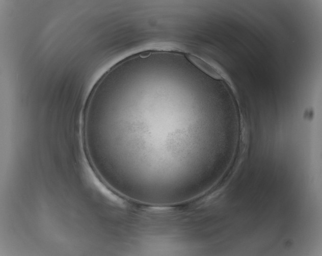 X0000110981343200906191355