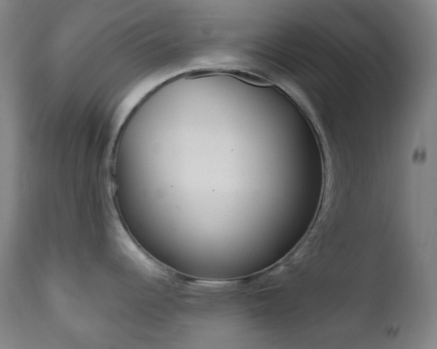 X0000110981344200906191355