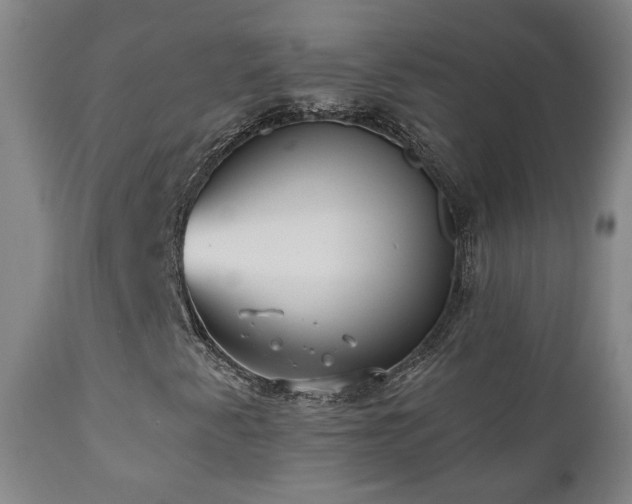 X0000110981345200906191355