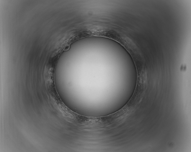 X0000110981346200906191355