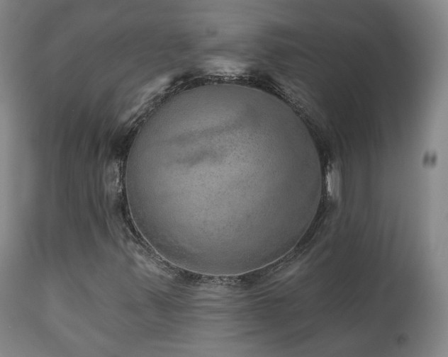 X0000110981347200906191355