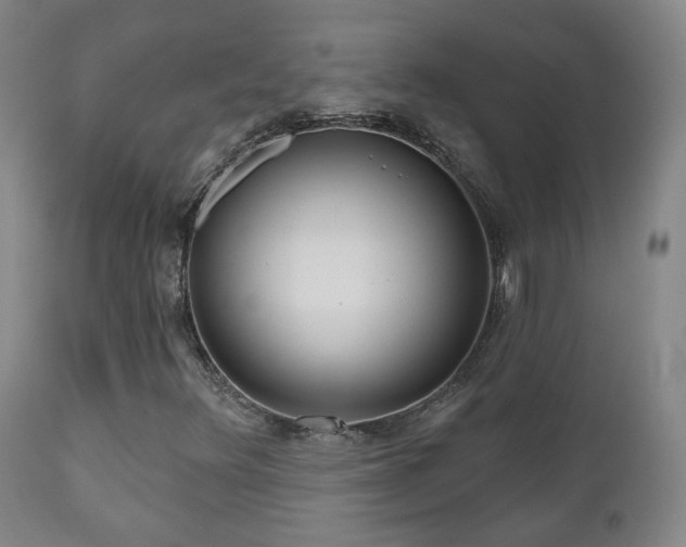 X0000110981348200906191355