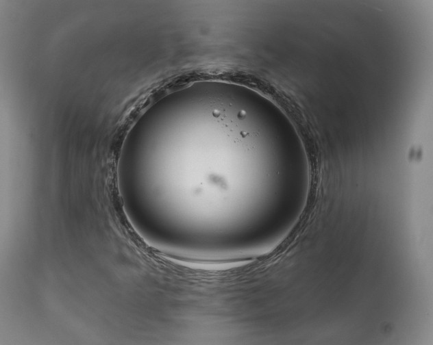 X0000110981349200906191355