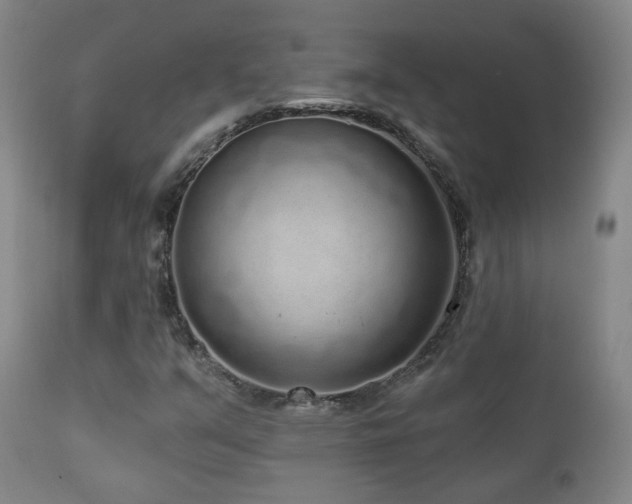 X0000110981351200906191355