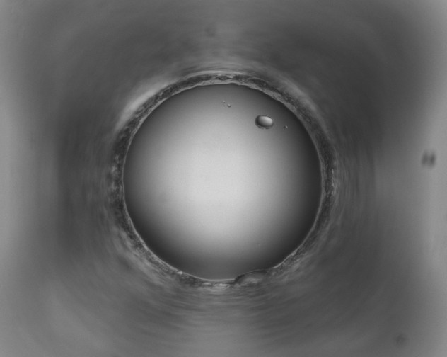 X0000110981352200906191355