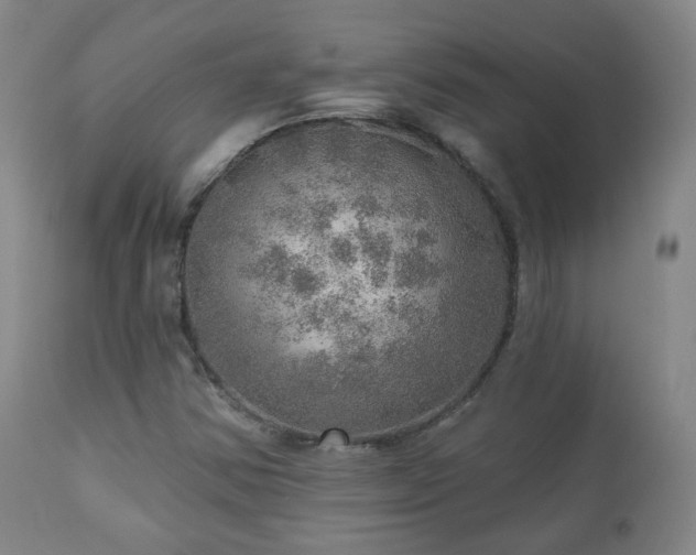 X0000110981354200906191355