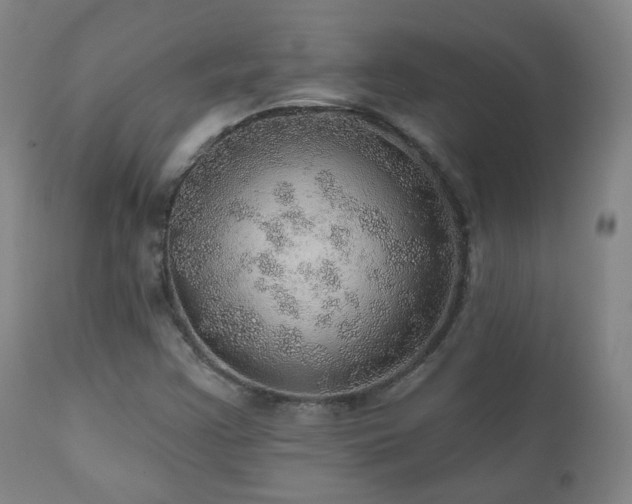 X0000110981355200906191354