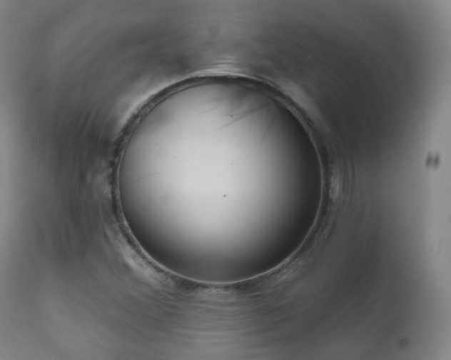 X0000110981356200906191354