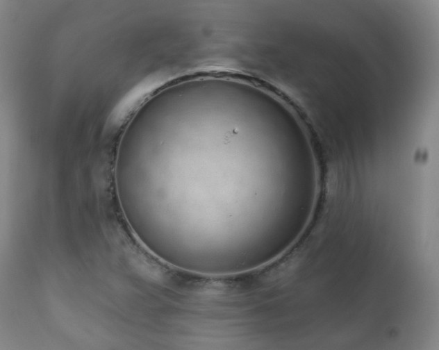 X0000110981359200906191354