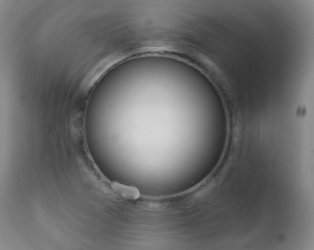 X0000110981361200906191354