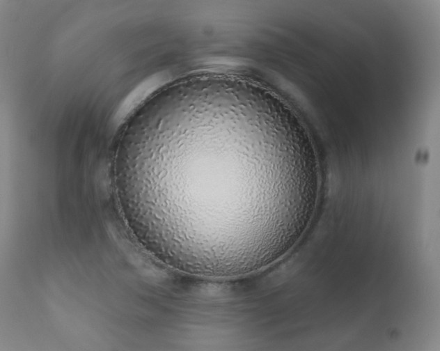 X0000110981362200906191354