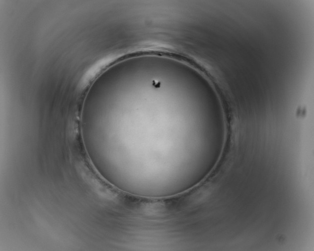 X0000110981363200906191354