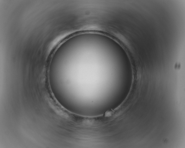 X0000110981364200906191354