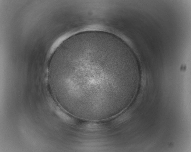 X0000110981366200906191354