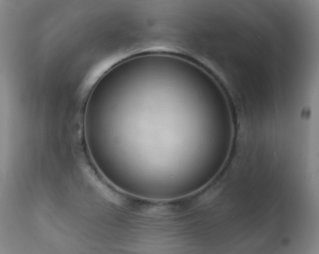 X0000110981367200906191354