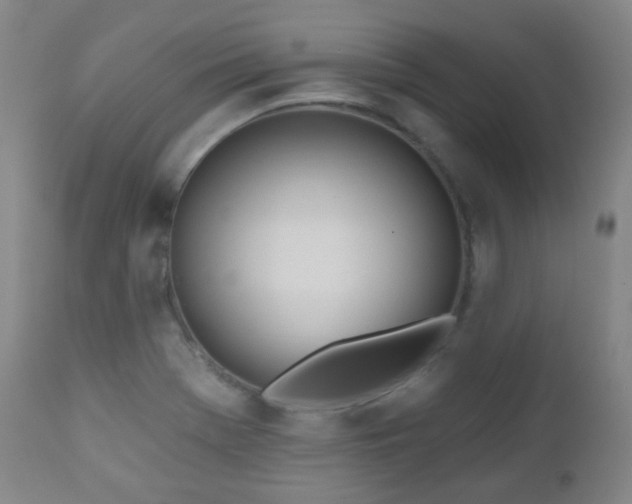 X0000110981369200906191354