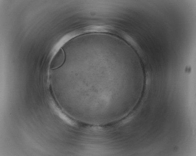 X0000110981370200906191354