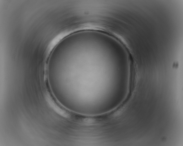 X0000110981371200906191354