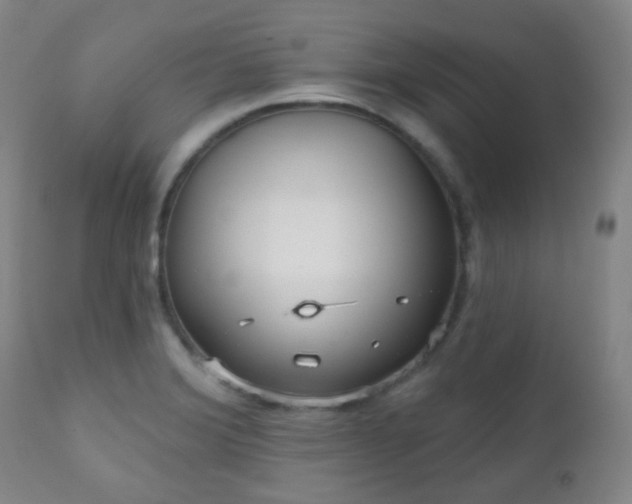 X0000110981372200906191354