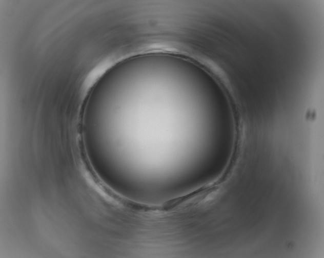 X0000110981373200906191354