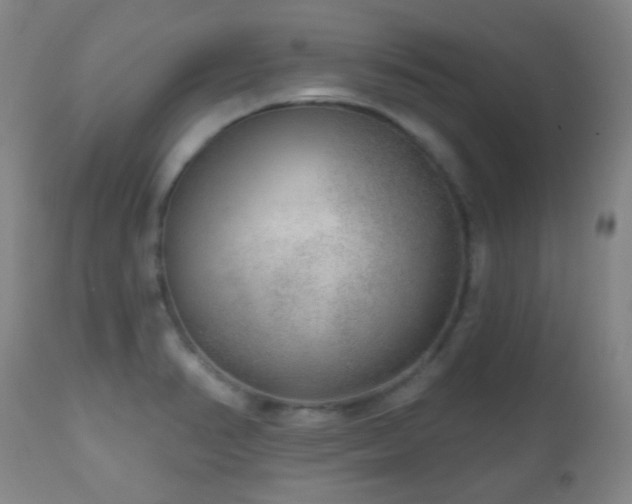 X0000110981374200906191354