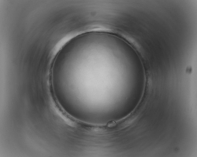 X0000110981375200906191354