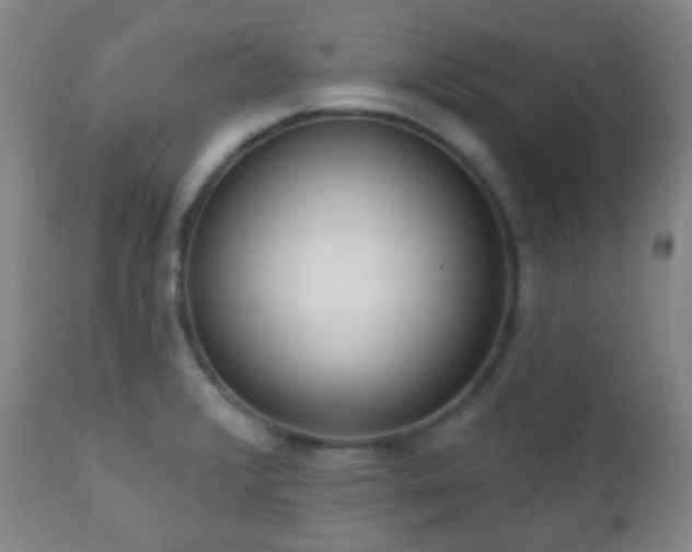 X0000110981376200906191354