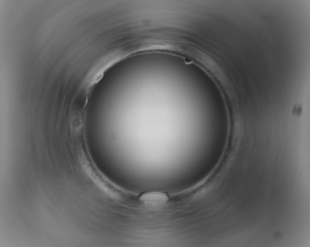 X0000110981377200906191354