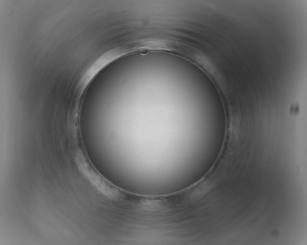 X0000110981378200906191354