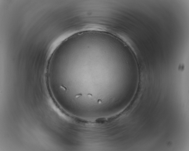 X0000110981379200906191354