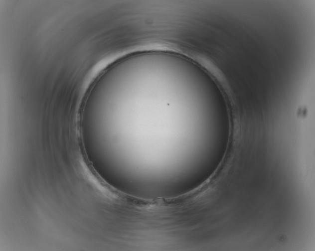 X0000110981380200906191354