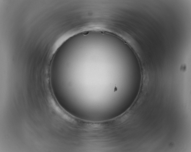 X0000110981382200906191354