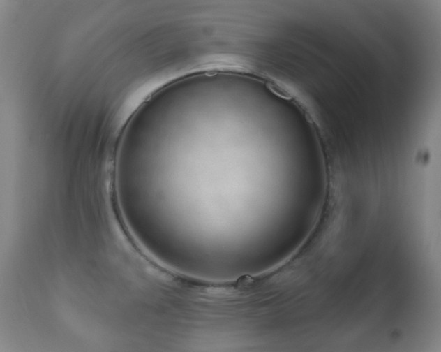 X0000110981383200906191354