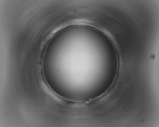 X0000110981384200906191354