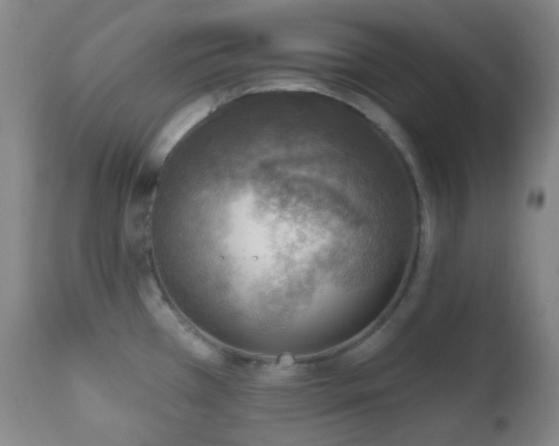 X0000110981385200906191354