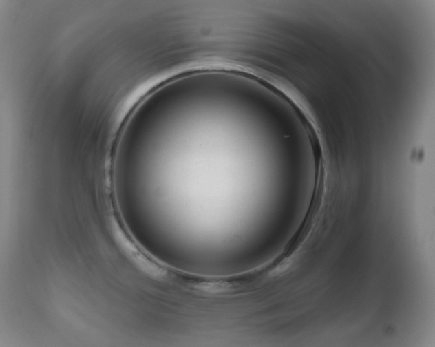 X0000110981388200906191354