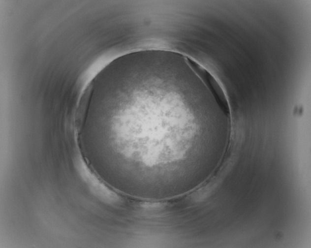 X0000110981389200906191354