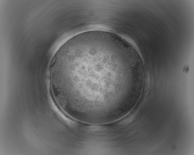 X0000110981391200906191354